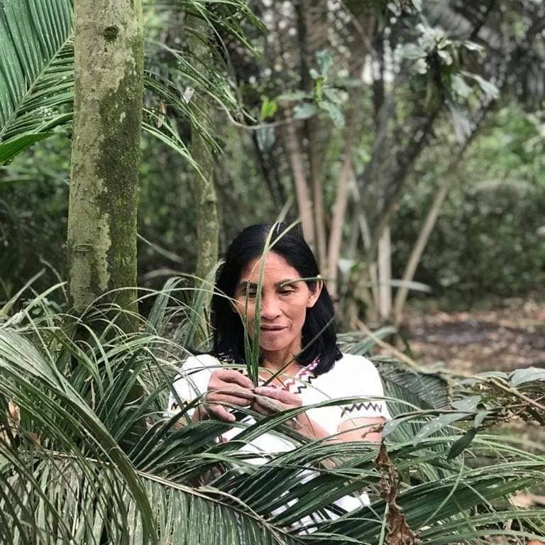 muksu talleres